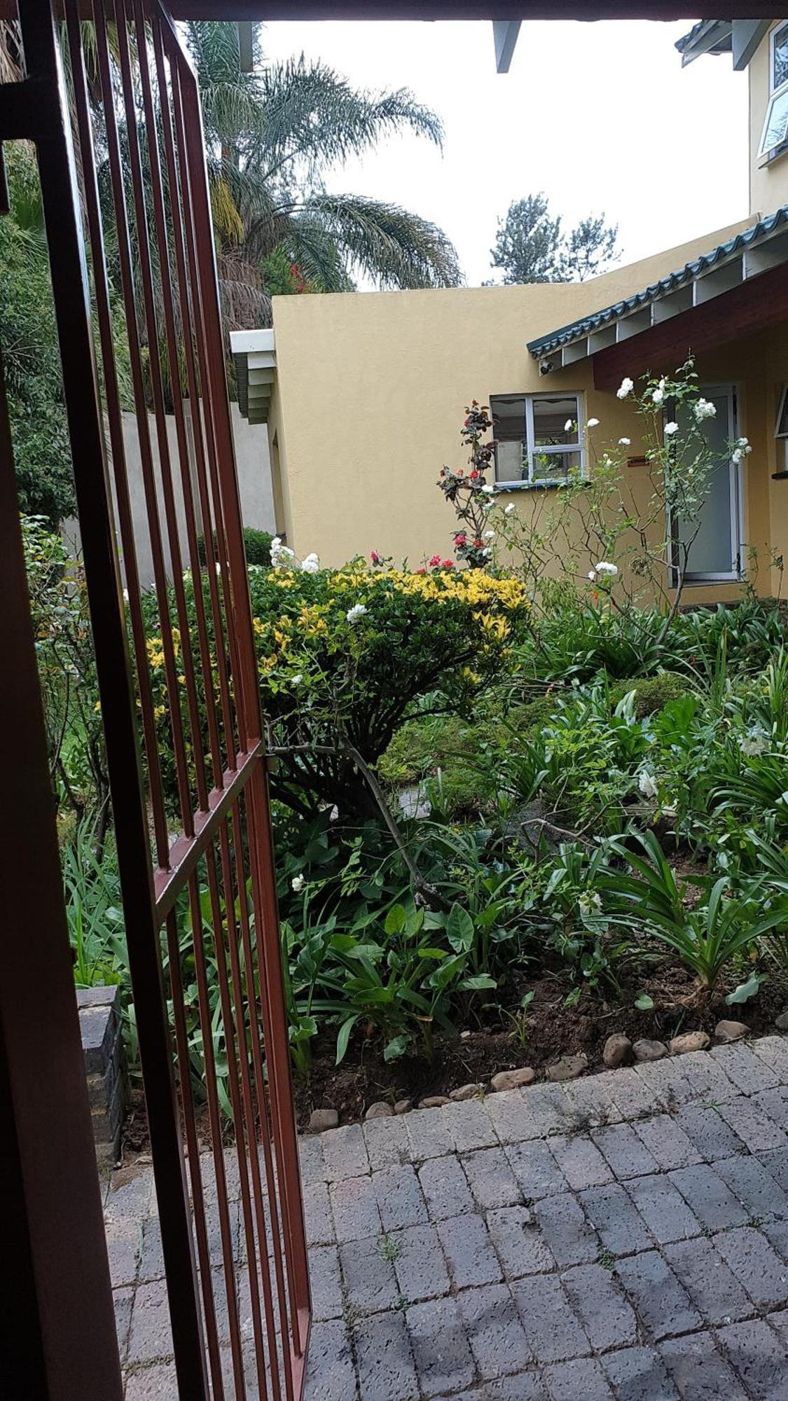 Matina Guest House Johannesburg Pokój zdjęcie